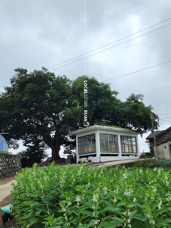 로컬스토리, localstory.co.kr
