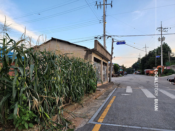 로컬스토리, localstory.co.kr