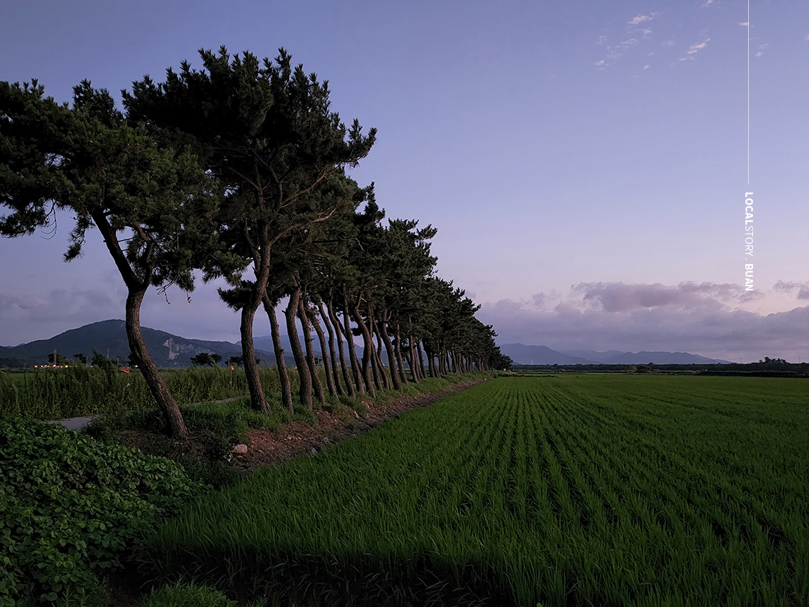 로컬스토리, localstory.co.kr